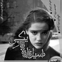 دانلود رمان اصیل زاده تاریکی اثر س.شاه حسینی