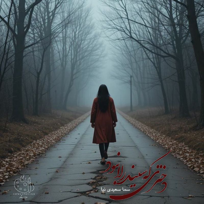 رمان دختری که سیندرلا نبود از سما سعیدی نیا